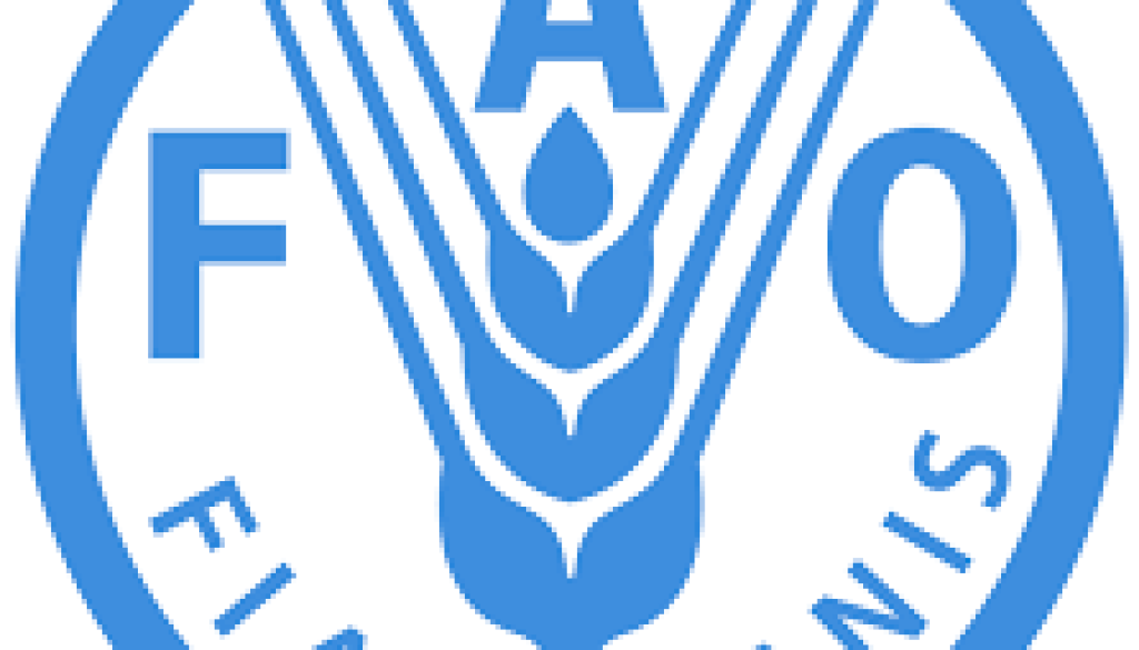 Partnership & Communication Specialist Vacancy-Job Ref: ECJPFAO/1206/202644